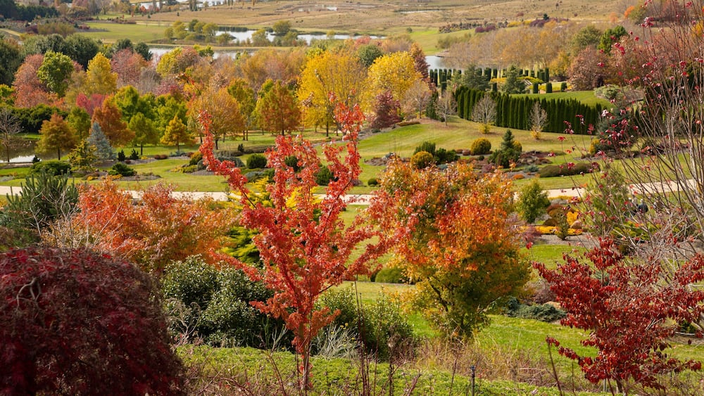 Un paysage magnifique, avec des arbres aux couleurs automnales, un lac et des jardins bien entretenus.