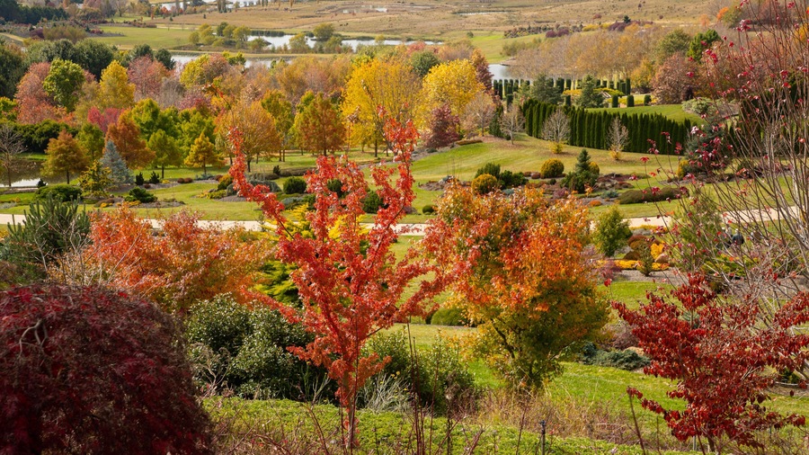 Mayfield Garden which includes landscape views and a park