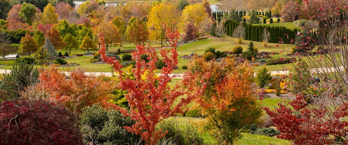 A scenic landscape with autumn foliage, a lake, and manicured gardens.