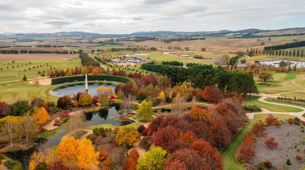 Mayfield Garden showing a garden and landscape views