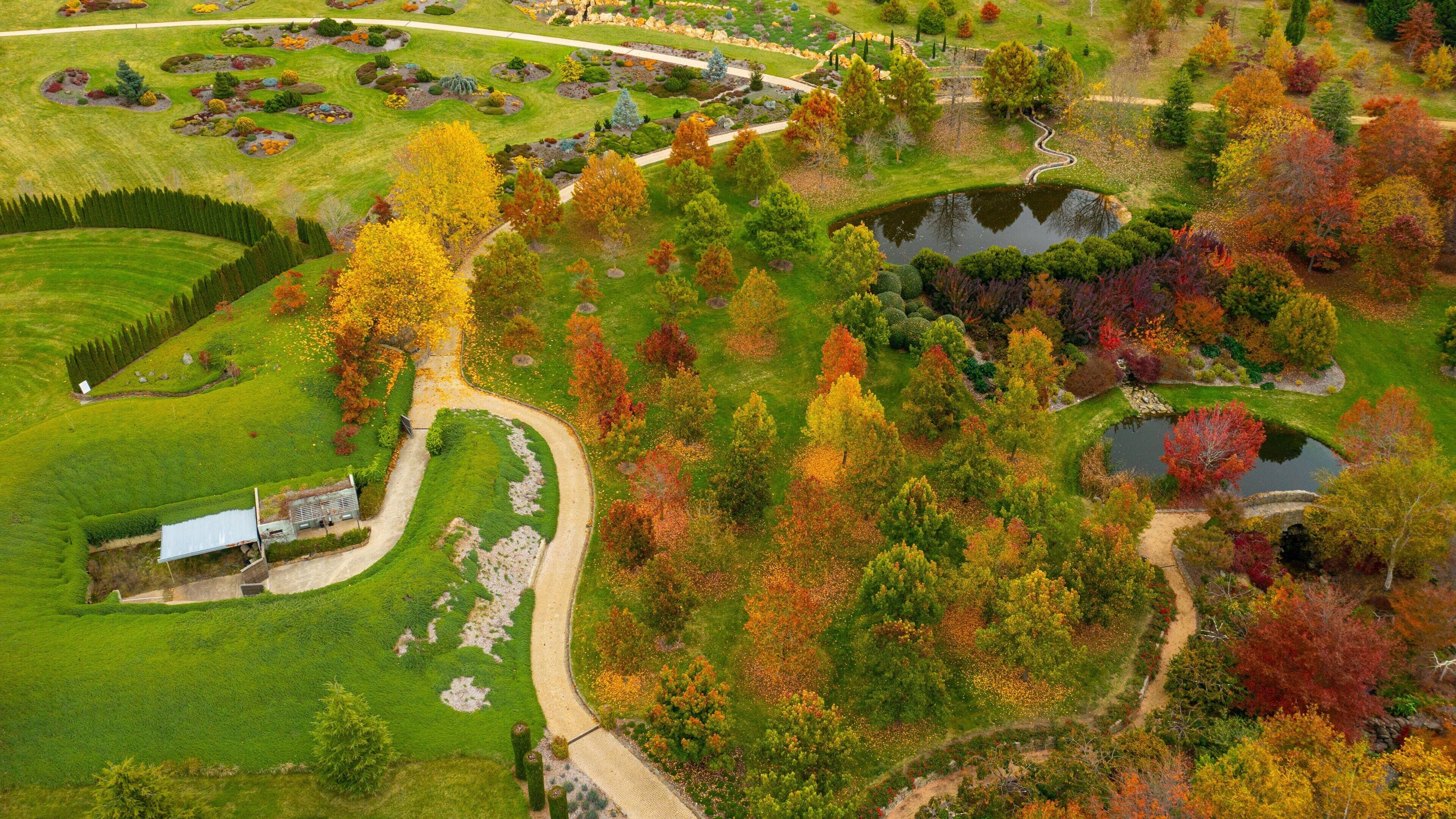 Mayfield Garden which includes tranquil scenes and a garden