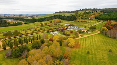 Mayfield Garden featuring landscape views and a garden