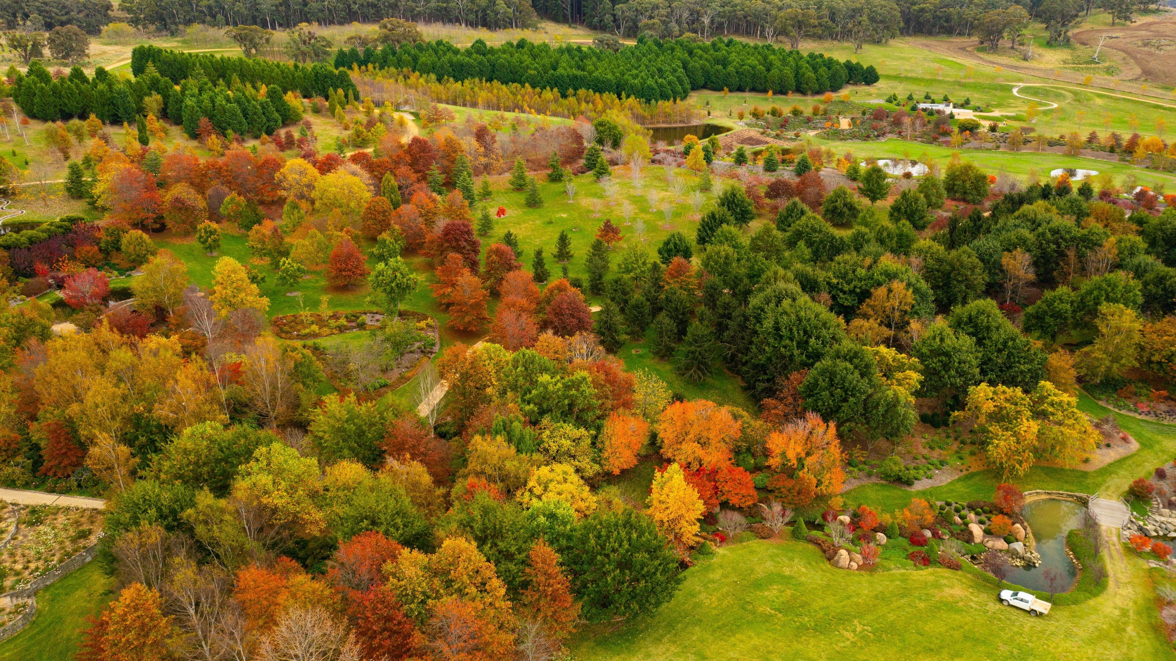 Mayfield Garden which includes a park and landscape views