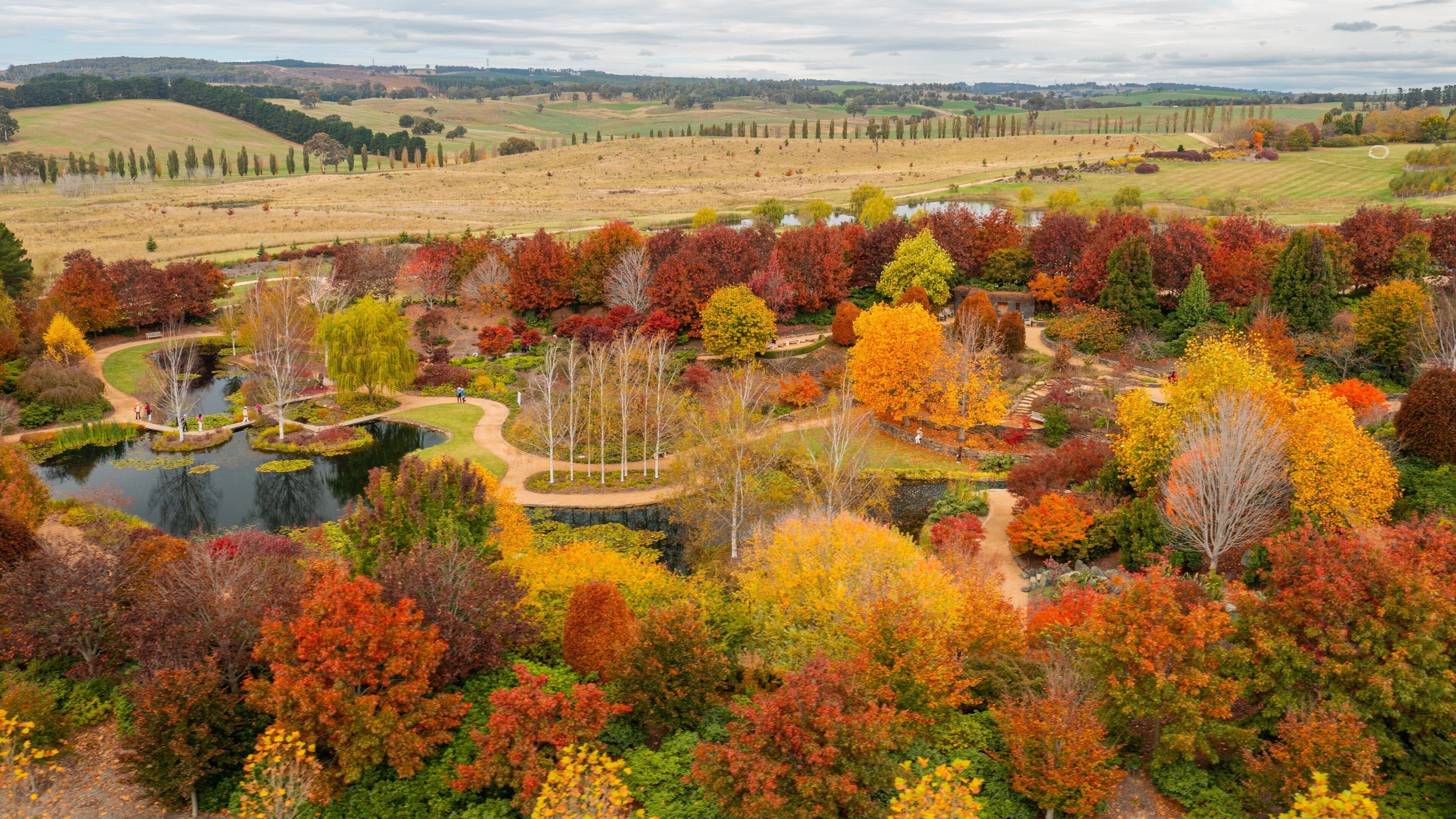 Mayfield Garden which includes landscape views, a garden and fall colors