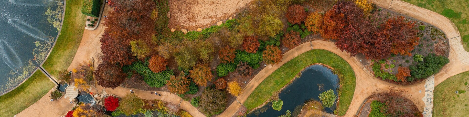 An aerial view of a park with winding paths, ponds, and a variety of trees in autumn colors.