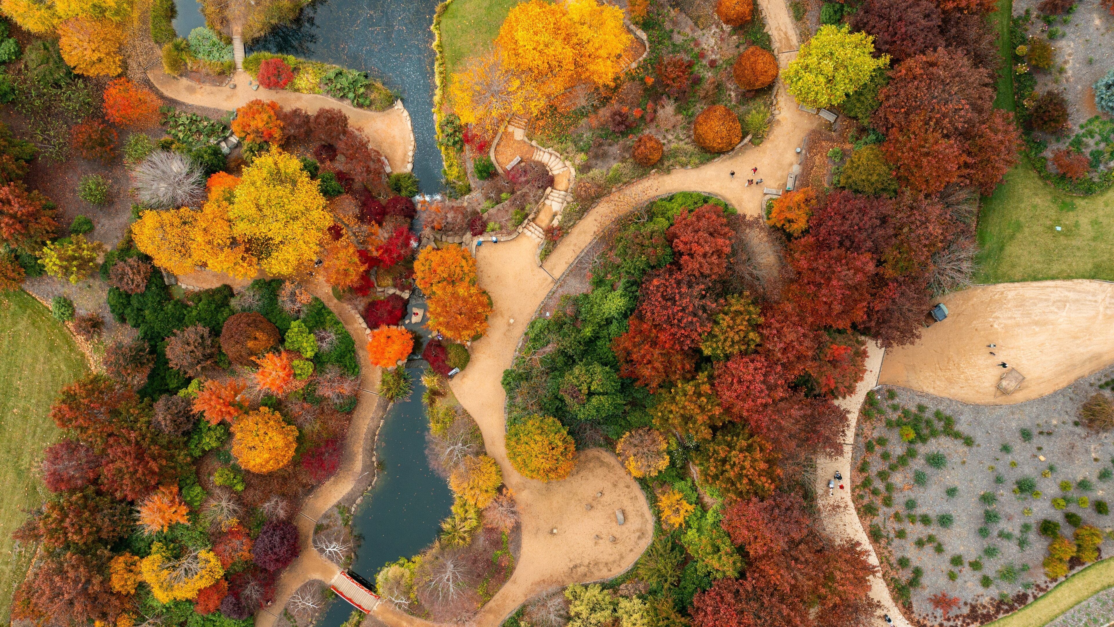 Mayfield Garden which includes a park and autumn leaves