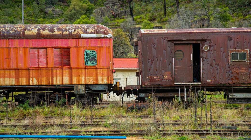 State Mine Heritage Park and Railway showing railway items
