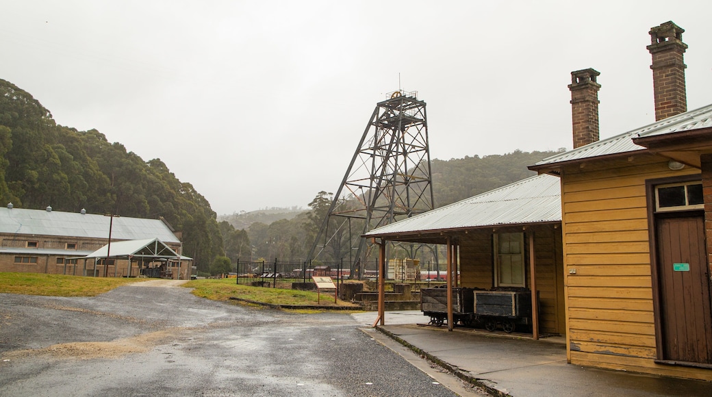 State Mine Heritage Park and Railway featuring a small town or village