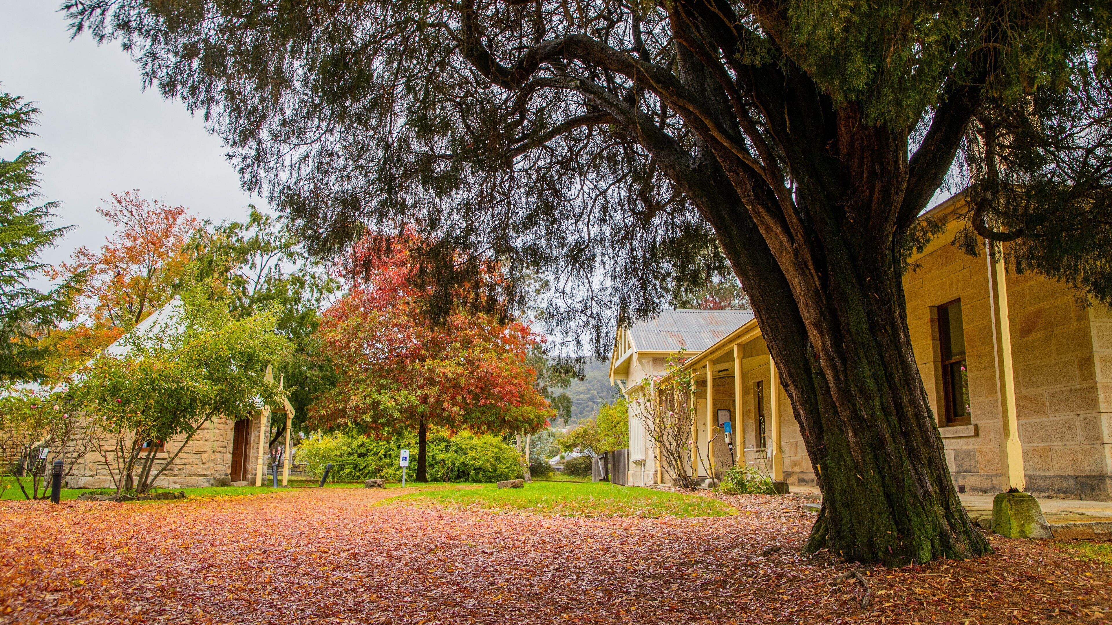 Eskbank House and Museum which includes a park and autumn leaves