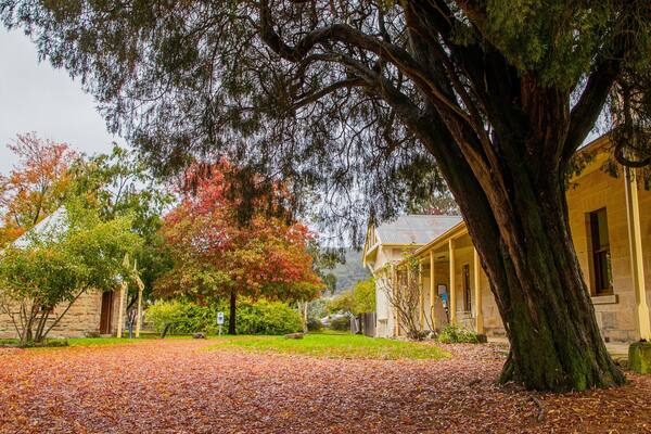 Eskbank House and Museum which includes a park and autumn leaves