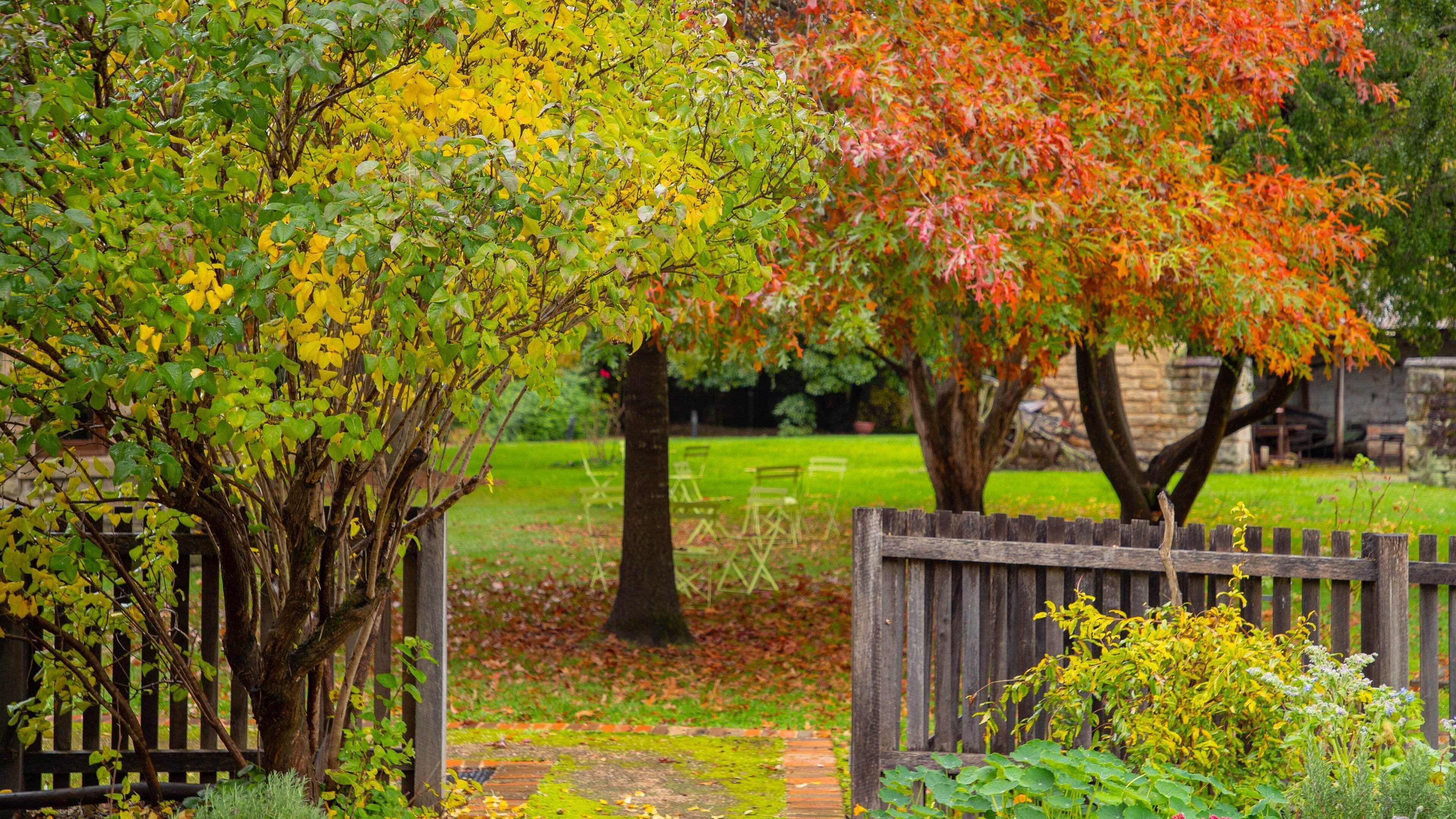 Eskbank House and Museum which includes a park and autumn leaves