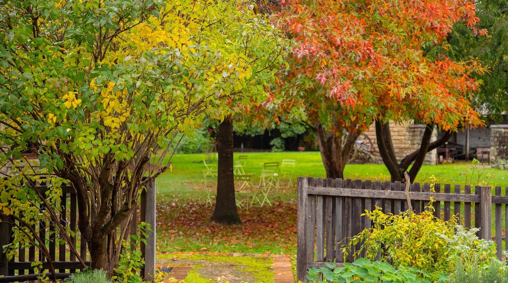 Eskbank House and Museum which includes a park and autumn leaves