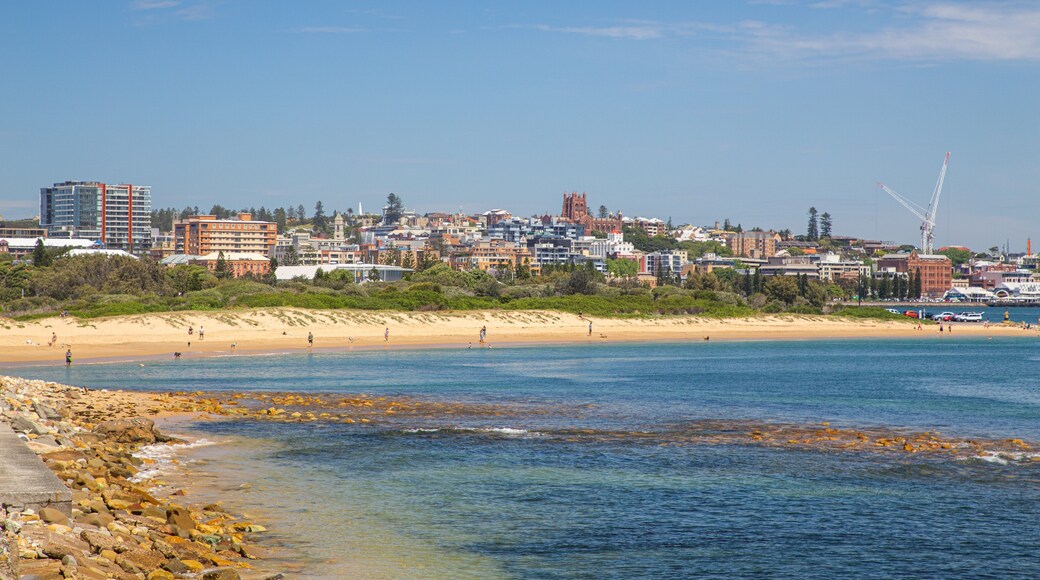 Horseshoe Beach showing a sandy beach, general coastal views and a coastal town