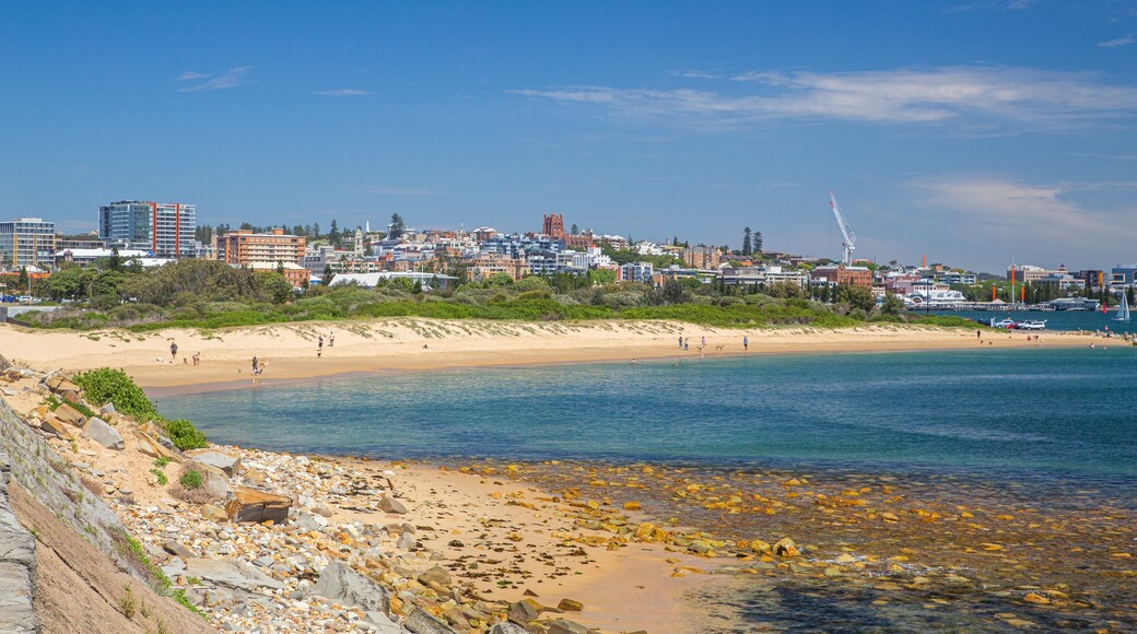 Horseshoe Beach which includes a coastal town, general coastal views and a beach