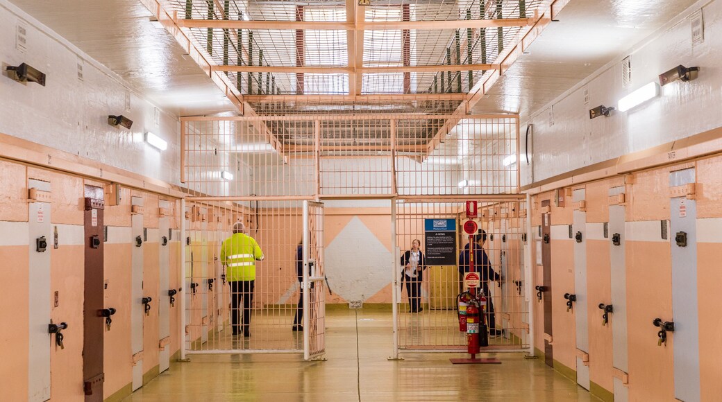 Maitland Gaol which includes interior views