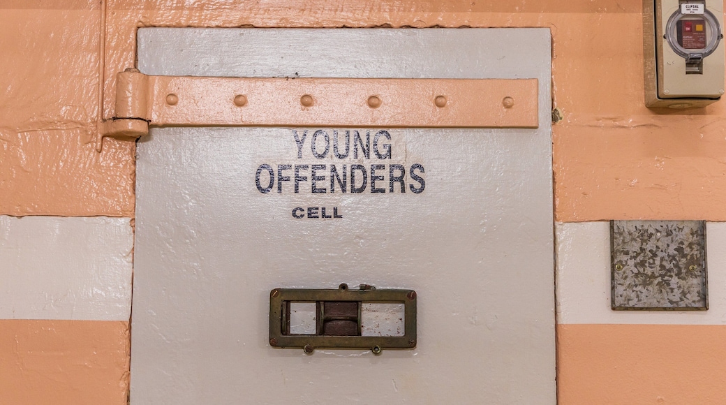 Maitland Gaol showing signage and interior views