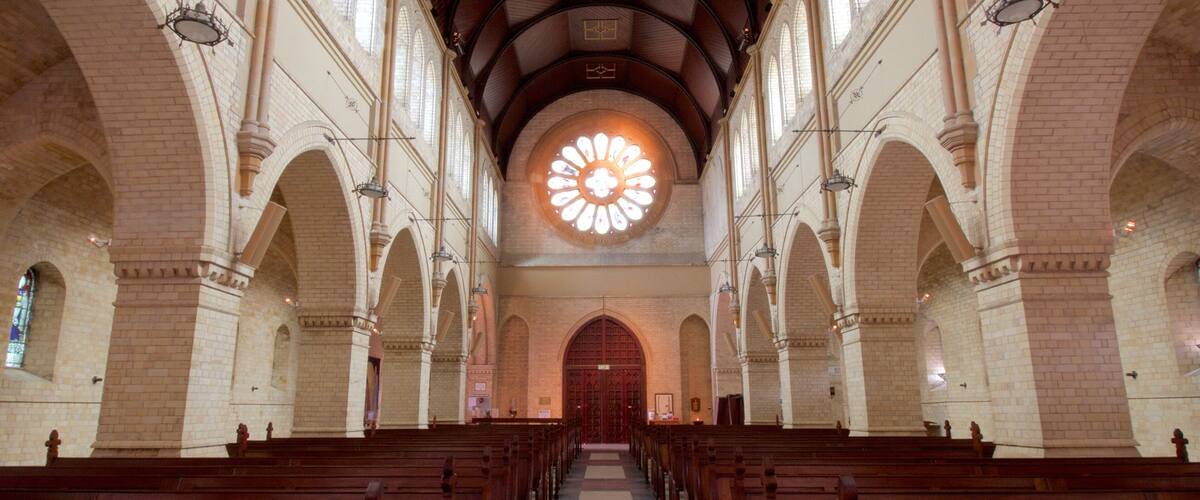 Newcastle which includes a church or cathedral and interior views