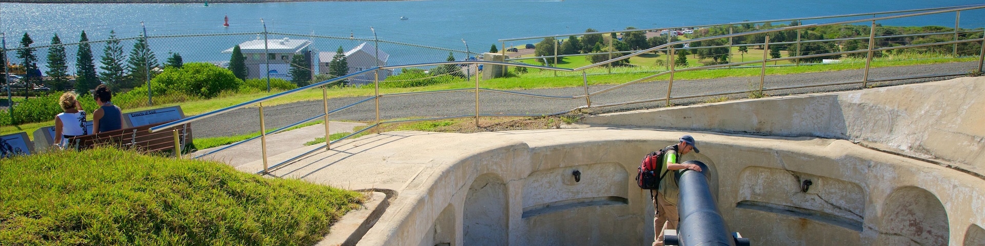 Newcastle showing a bay or harbor as well as a small group of people