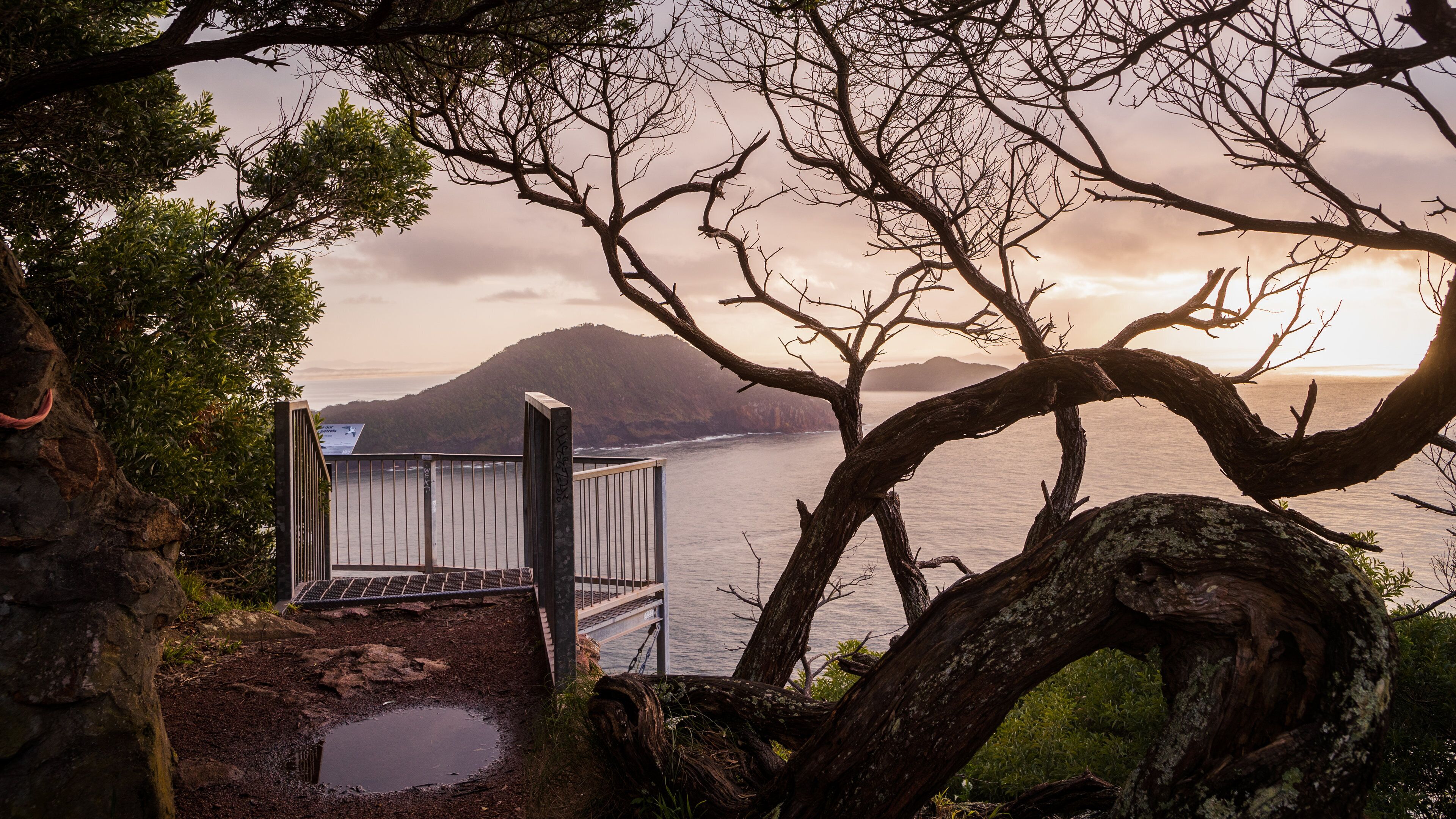 Tomaree Head featuring general coastal views, a sunset and views