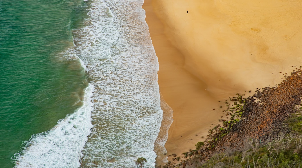 Tomaree Head showing general coastal views and a beach