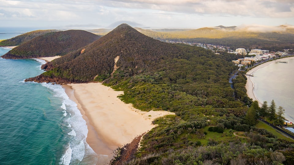 A coastal landscape with a beach, forested hills, and a town in the background.