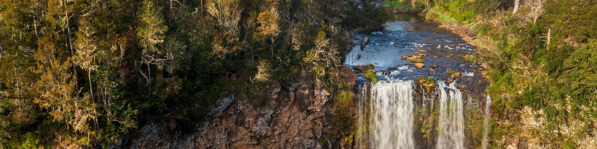 Dangar Falls featuring a river or creek and a waterfall