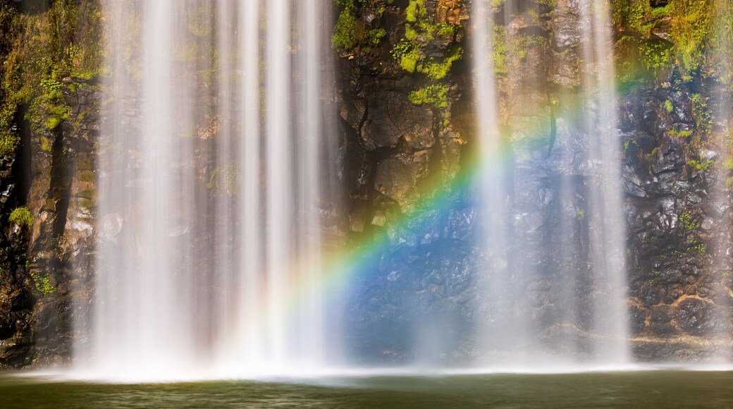 Dangar Falls showing a waterfall and a lake or waterhole