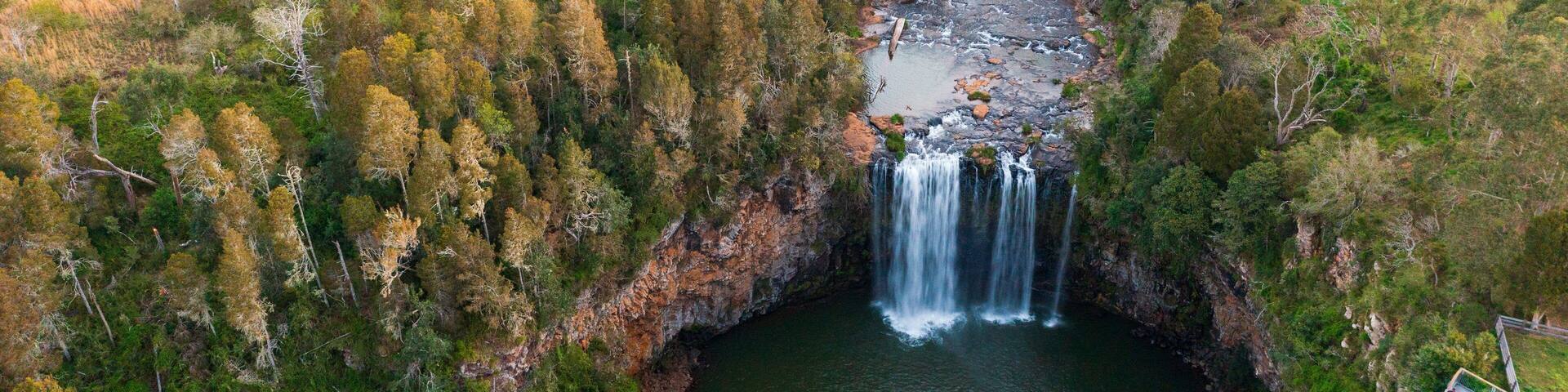 A waterfall cascading into a river surrounded by dense forest.