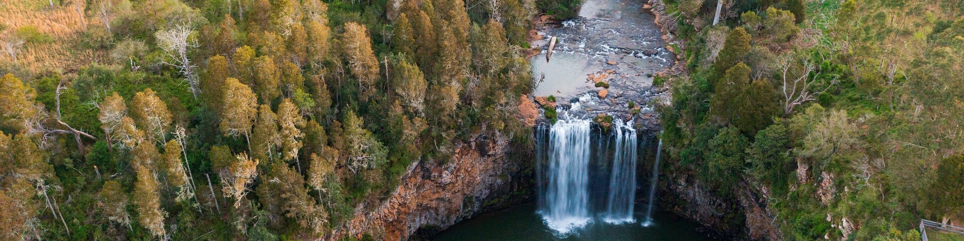 A waterfall cascading into a river surrounded by dense forest.