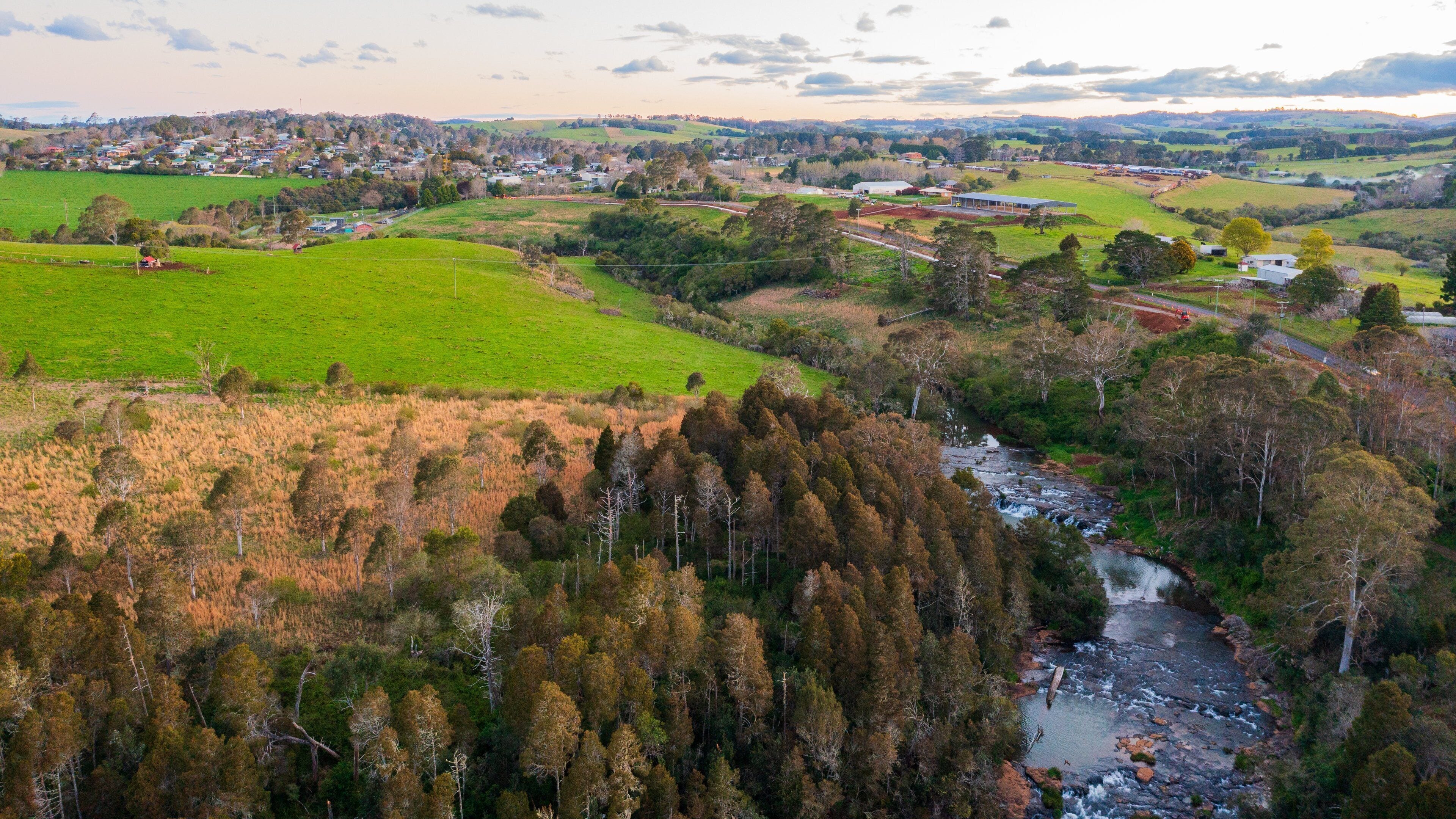 Dangar Falls showing tranquil scenes, landscape views and a river or creek
