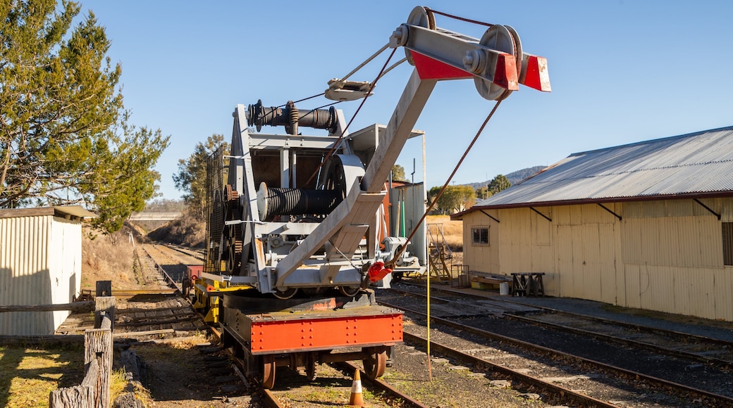 Tenterfield Railway Museum featuring industrial elements and railway items