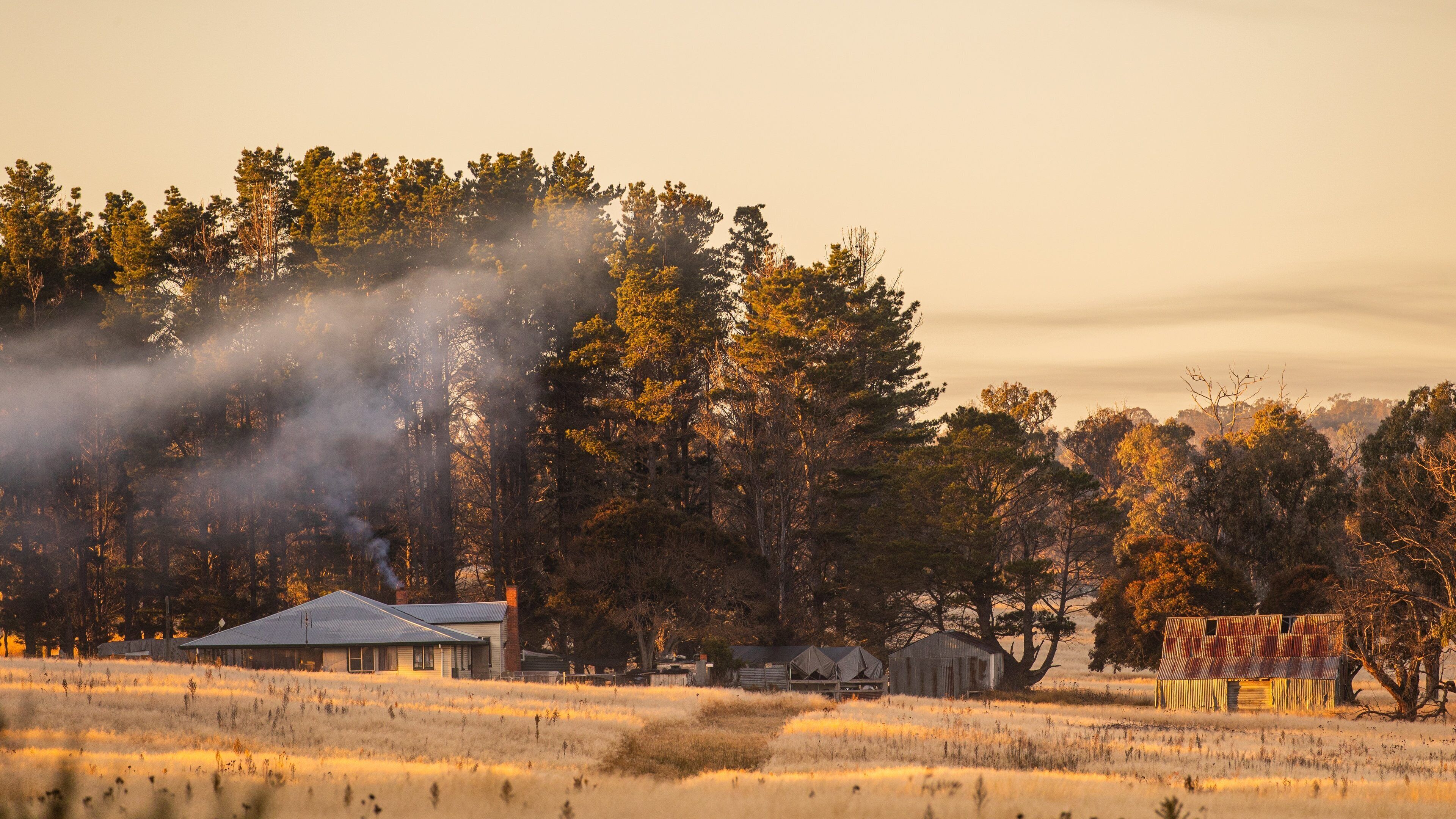 A rural landscape with a house, barns, and a forest.