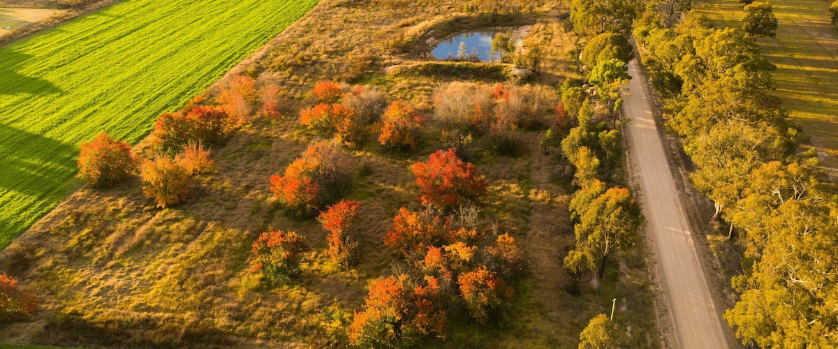 The Granite Belt which includes farmland
