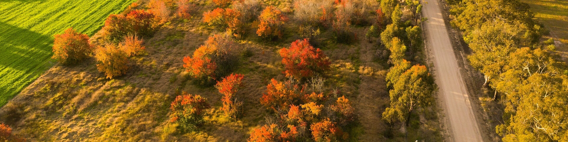 The Granite Belt which includes farmland