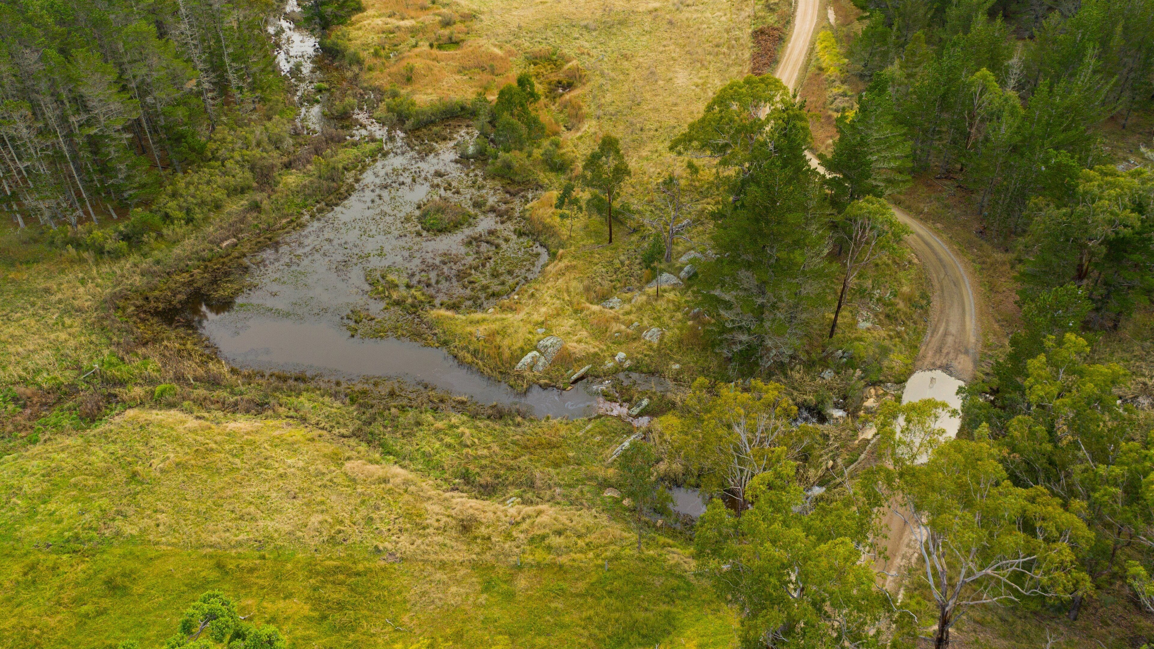The Granite Belt which includes a river or creek and forests