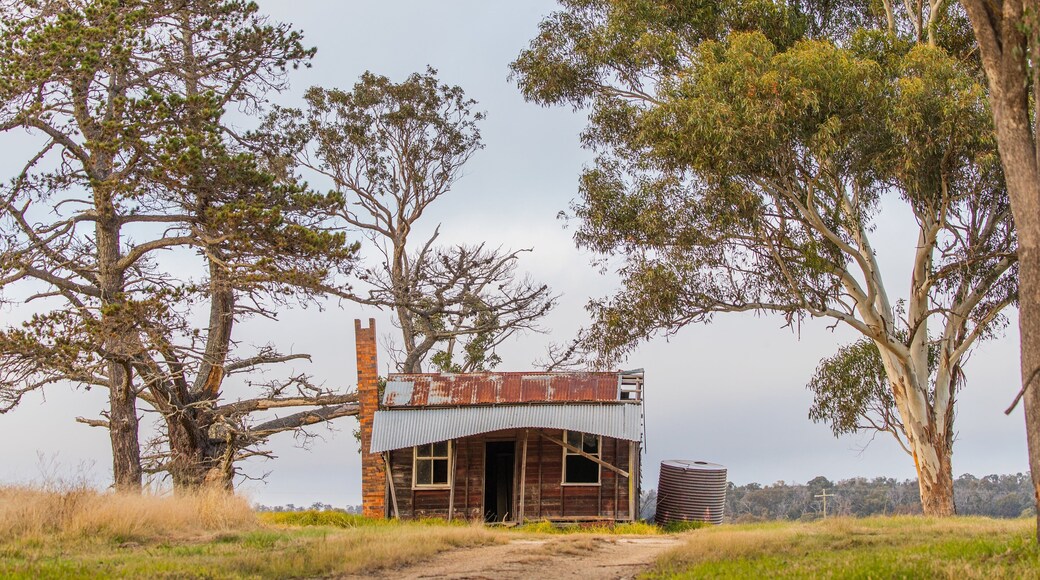 The Granite Belt showing farmland
