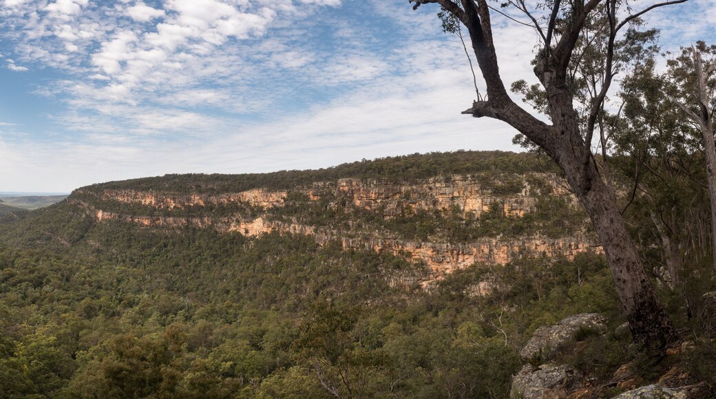 ブラックダウン・テーブルランド国立公園