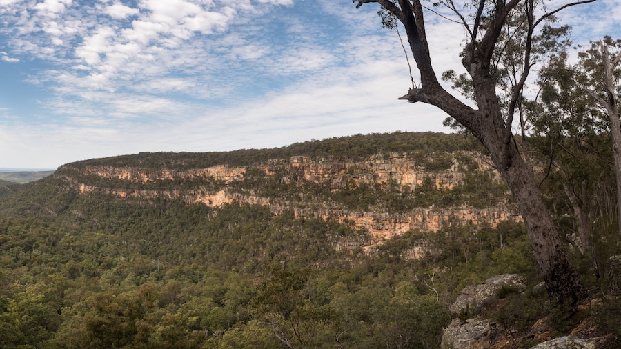 Blackdown Tableland National Park