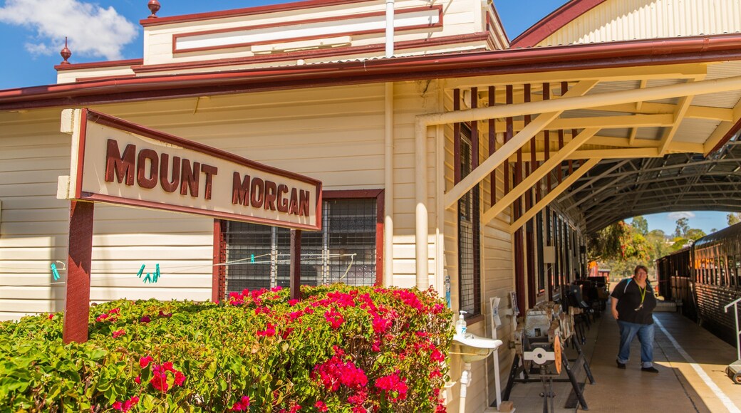 Mount Morgan Railway Museum featuring wildflowers and signage