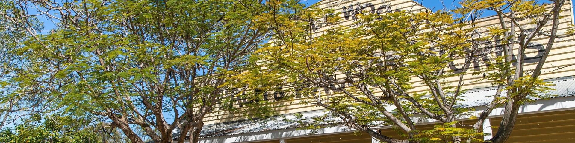 Un edificio histórico con fachada amarilla, columnas blancas y un gran árbol en primer plano.