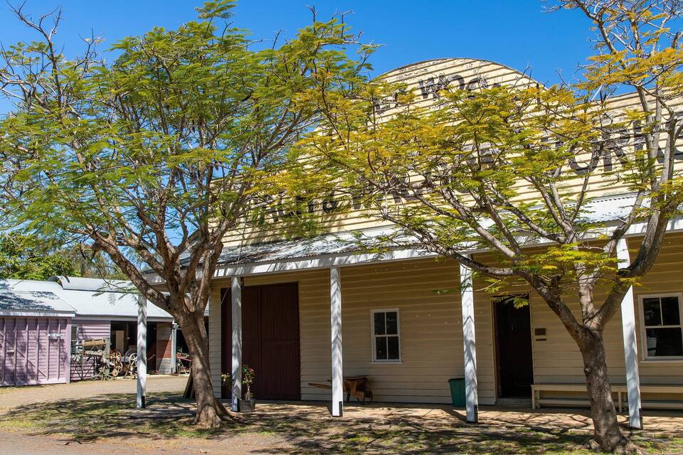 Un edificio histórico con fachada amarilla, columnas blancas y un gran árbol en primer plano.