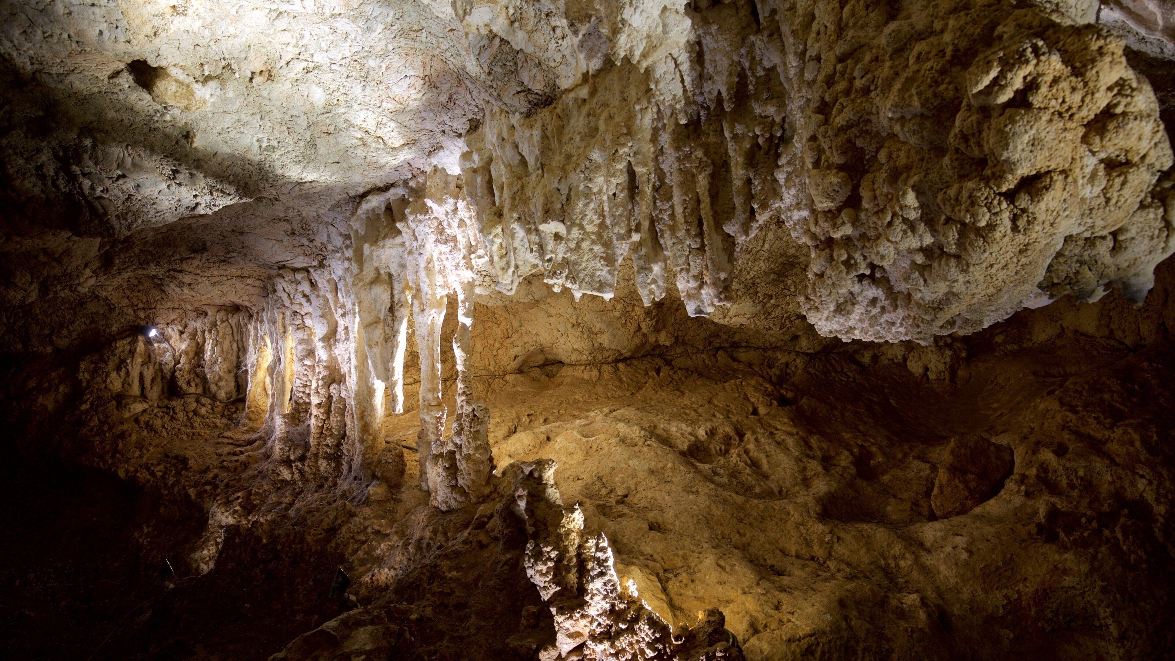 Capricorn Caves featuring caves