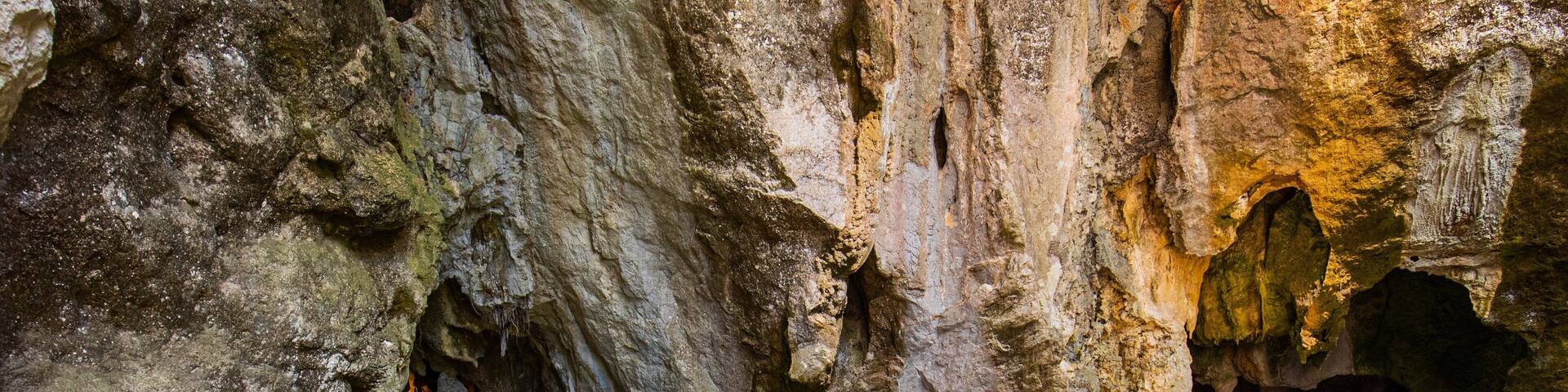 Una cueva con una escalera de madera que se adentra en un pasaje oscuro.