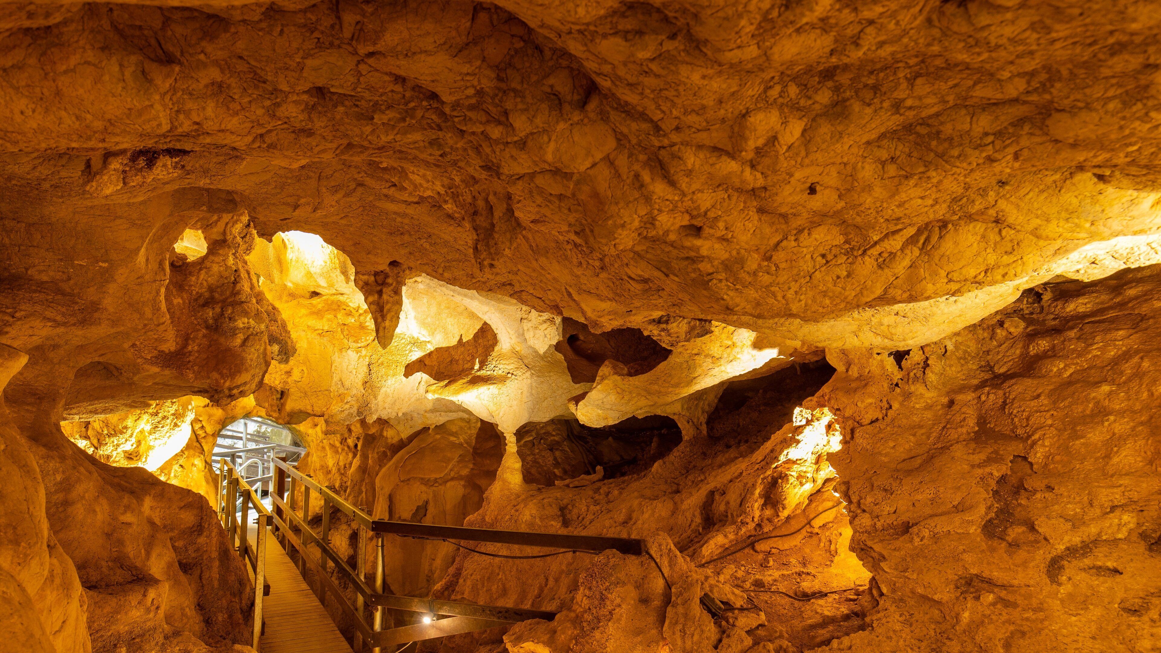 Capricorn Caves showing caves