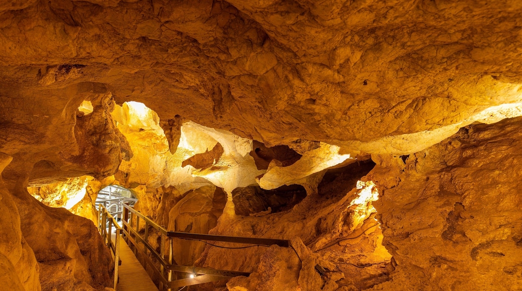 Capricorn Caves showing caves