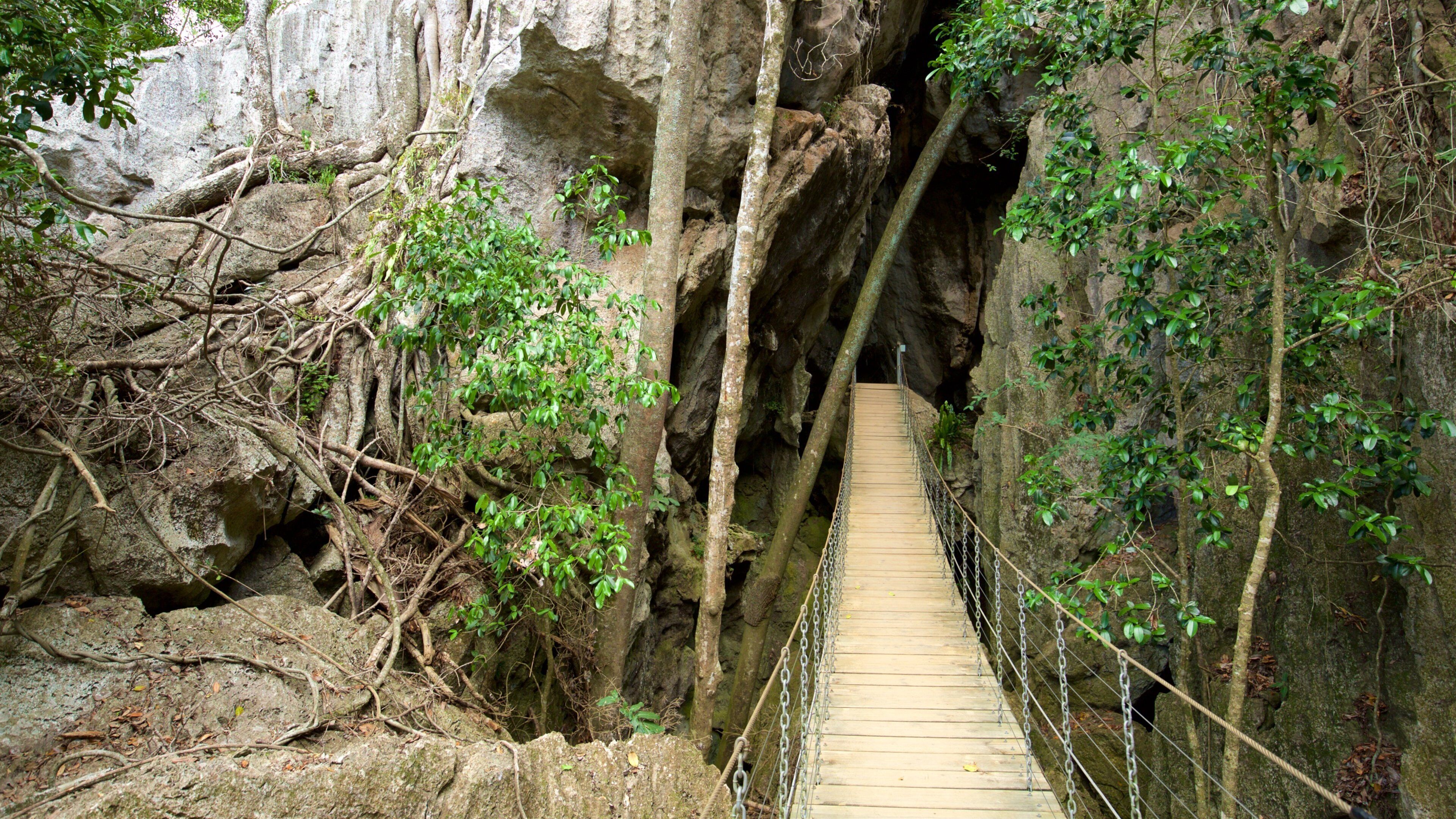 A wooden suspension bridge in a rocky gorge with dense foliage.