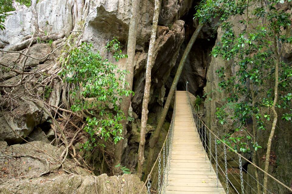 A wooden suspension bridge in a rocky gorge with dense foliage.