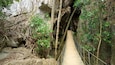 A wooden suspension bridge in a rocky gorge with dense foliage.