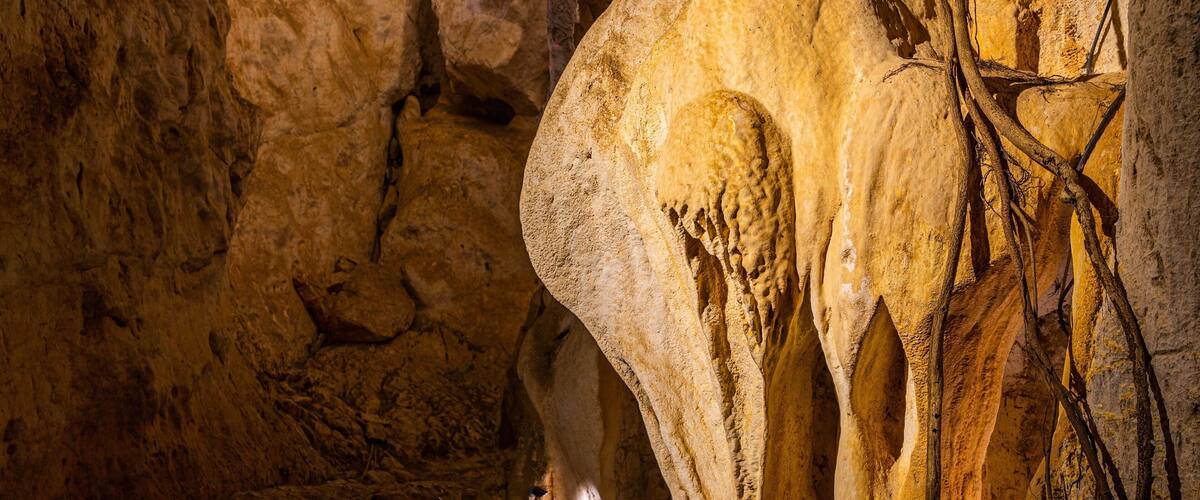 Capricorn Caves featuring caves