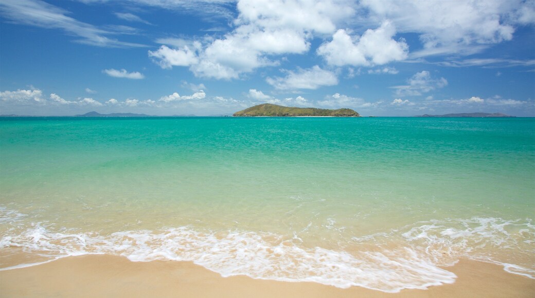 Great Keppel Island mostrando cenas tropicais, uma praia e paisagens litorĂąneas